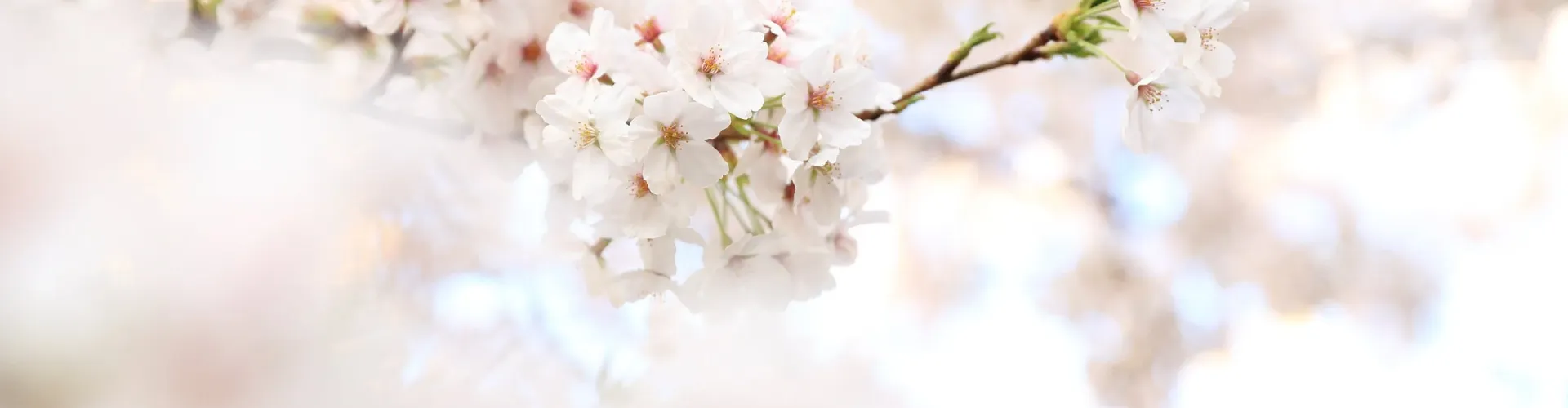 After-Care Instructions