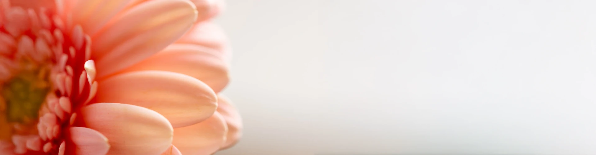 Wentzville Area Paramedical & Cosmetic Tattoo Services